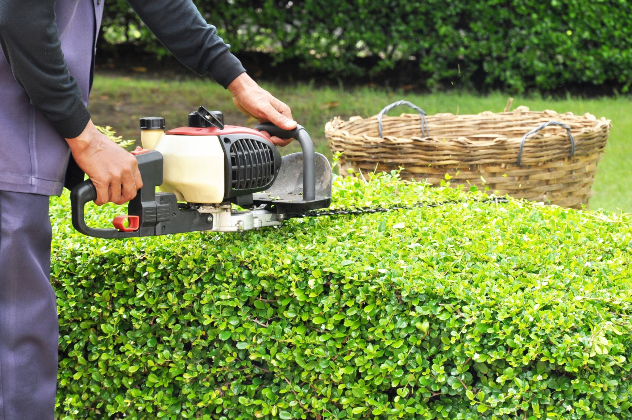 All You Need to Know About Garden Waste Skip Hire