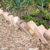 Bricks used as an edging to a raised bed on an allotment
